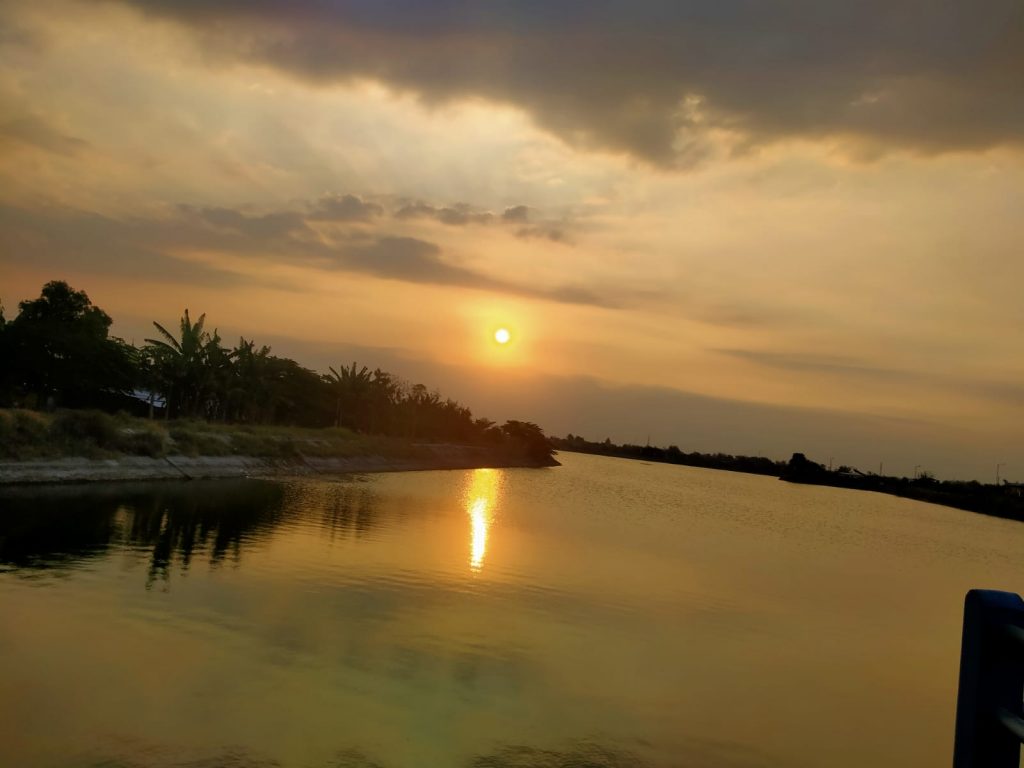 IMG-20220824-WA0030